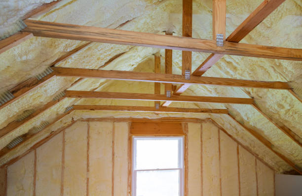 Best Insulation Maintenance and Repair in Van Buren, MO